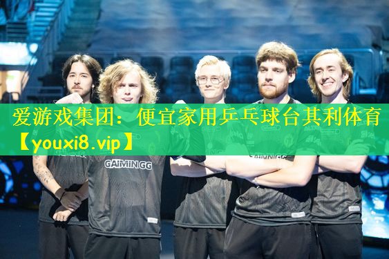 爱游戏集团：便宜家用乒乓球台其利体育