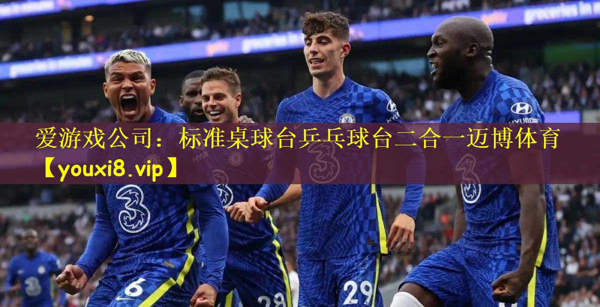 爱游戏公司：标准桌球台乒乓球台二合一迈博体育