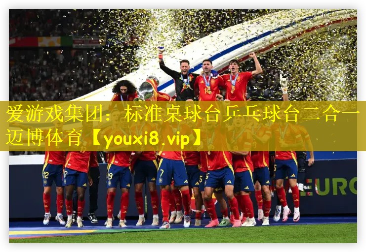 爱游戏集团：标准桌球台乒乓球台二合一迈博体育