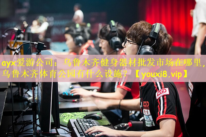 ayx爱游公司：乌鲁木齐健身器材批发市场在哪里,乌鲁木齐体育公园有什么设施？