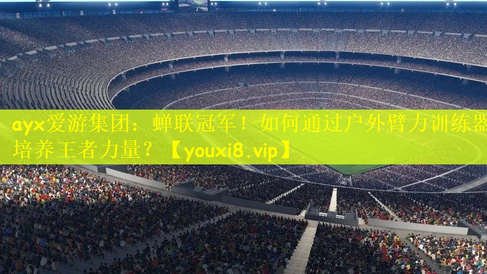 ayx爱游集团：蝉联冠军！如何通过户外臂力训练器培养王者力量？