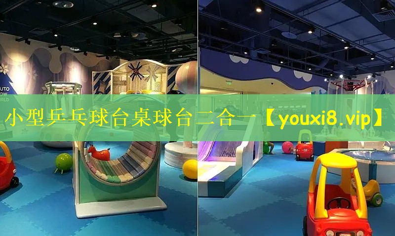 小型乒乓球台桌球台二合一