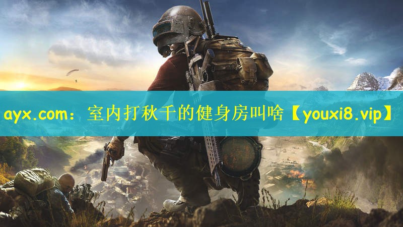 ayx.com：室内打秋千的健身房叫啥